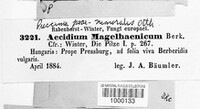Puccinia poae-nemoralis image